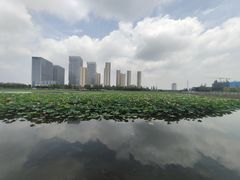 -保定东湖公园(莲池区)