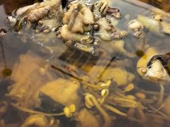 -渝悦情·新派川菜(建国门店)