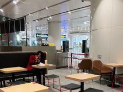 大堂-麦当劳(北京大兴机场二层国内到达(安检外)店)