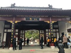 -南汇桃花村