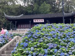 -苏州上方山国家森林公园
