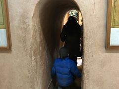 -西安曲江寒窑遗址公园