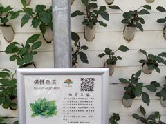 -晶宝温泉农庄