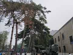 -长影旧址博物馆