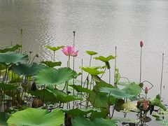 -南翔镇银翔湖公园