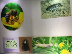 -上海昆虫博物馆