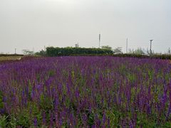 -西海岸生态观光园