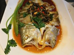 -苏大嘴蒸汽海鲜·海胆蒸饺(中山广场店)