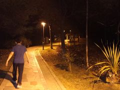 -聚龙山公园