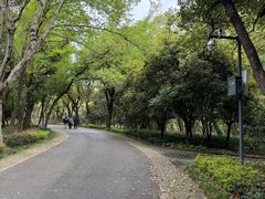 -东湖落雁景区