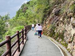 -羚羊峡古栈道森林公园