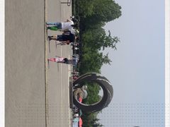 -大兴滨河森林公园