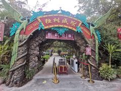 -瑞丽独树成林风景区