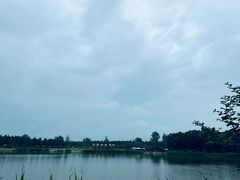 -东平国家森林公园
