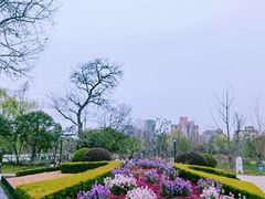 -中山公园