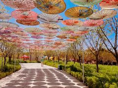 -水上乐园·欢乐世界