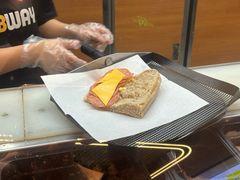 -SUBWAY赛百味(高新绿宝店)
