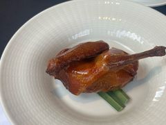-云门锦翠(商鼎国际店)