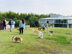-栖露营camping·天幕烧烤·团建拓展·采摘营地