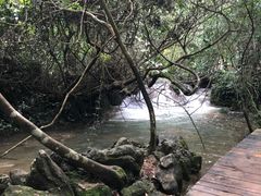 -小七孔景区东门售票处