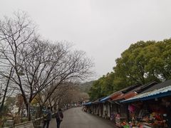 -灵岩山风景区