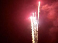 -大地红烟花爆竹经营部