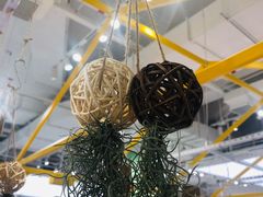 -KKV(深圳宏发大仟里店)