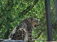 -青藏高原野生动物园