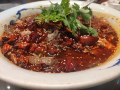 毛血旺-辛香汇(飞洲店)