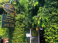 -Fern Forest Cafe