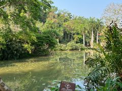 -中国科学院西双版纳热带植物园