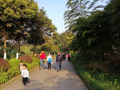 -大渡口区义渡公园