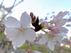 -西北湖绿化广场