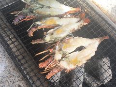 -吴淞炮台湾湿地森林公园烧烤区