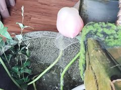 -康健民中泰式·古法按摩连锁品牌(华润万家店)