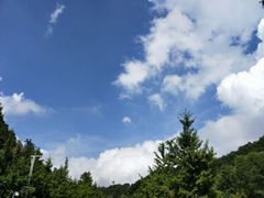 -洛阳白云山景区