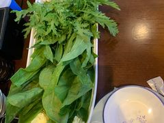蔬菜拼盘-亿诣蝎府炸酱面羊蝎子火锅(酷车小镇店)