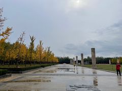 -石家庄市植物园