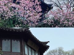 -拙政园