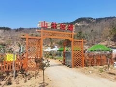 -百果山乐享果玩
