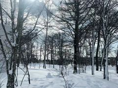 -北海道厅旧本厅舍(旧本庁舎)