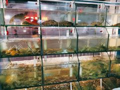 水产区-凯华海鲜火锅·传承三十六年