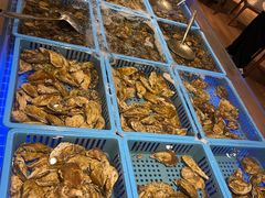 -青岛蓝海御华大饭店（金沙滩店）·蓝钻国际美食自助百汇