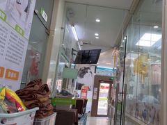 -瑞鹏宠物医院·微创内窥镜·骨外科·牙科(翠竹分院)