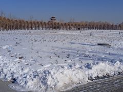 -水西公园