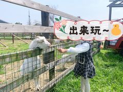 -田园东方蜜桃村的田野营地