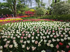 -国家植物园