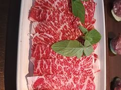 -辣伍鲜毛肚老火锅(元一店)