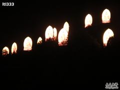 -禅宗少林·音乐大典