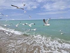 -青海湖国家重点风景名胜区